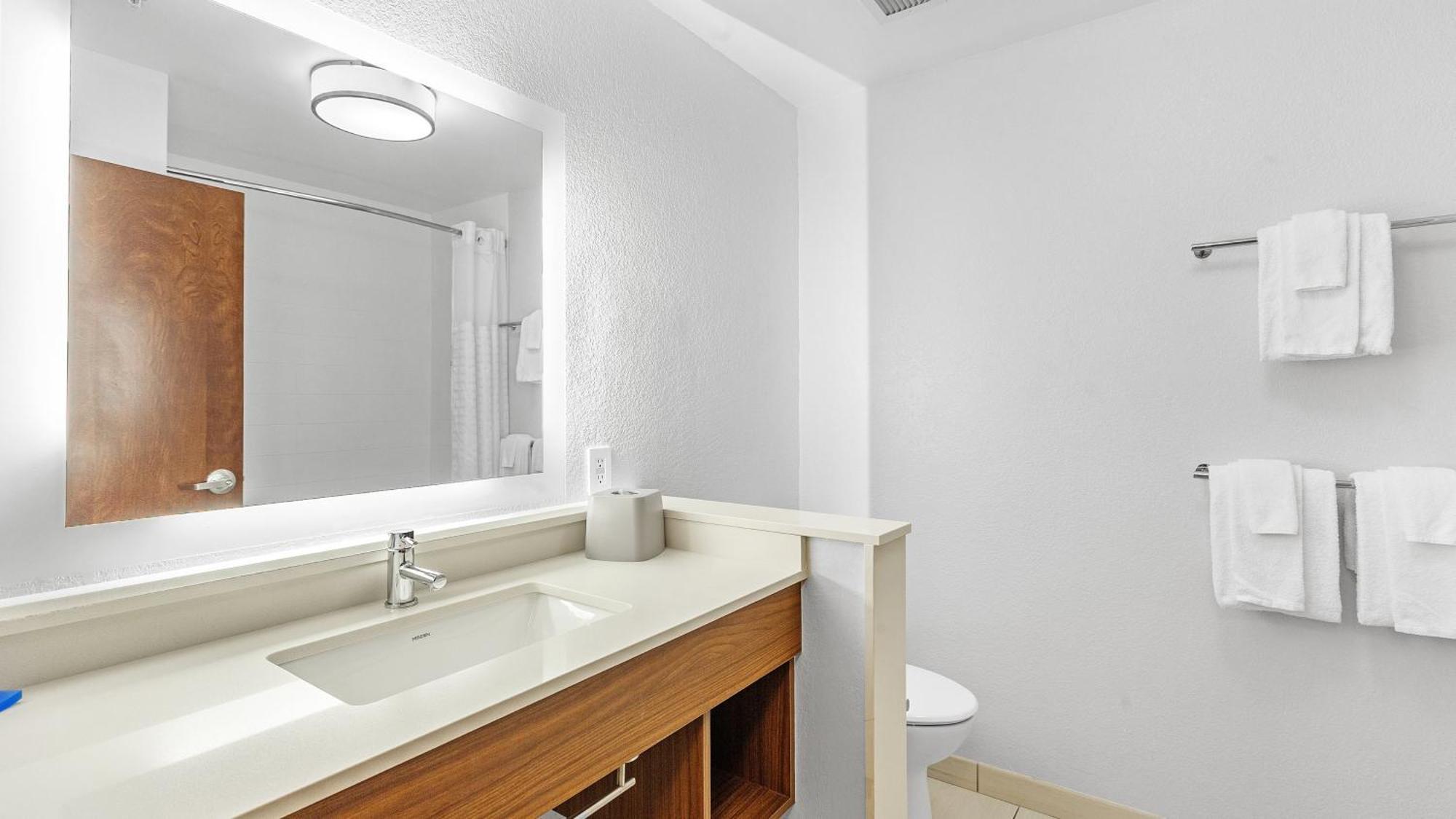 Holiday Inn Express & Suites Mobile - University Area By Ihg Kültér fotó